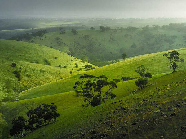 Adelaide Hills