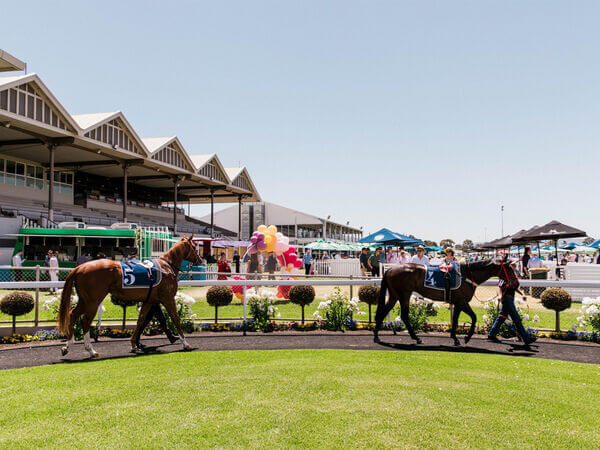 Morphettville Racecourse